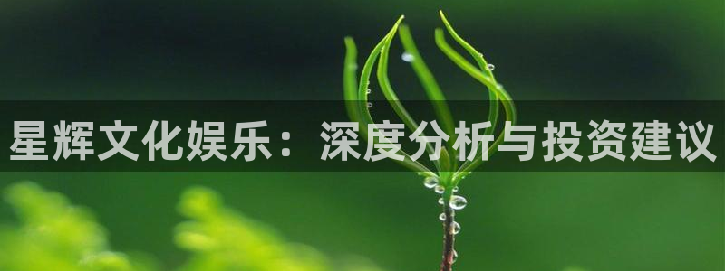 风暴娱乐登录入口