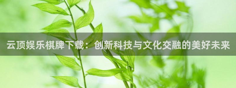 风暴娱乐