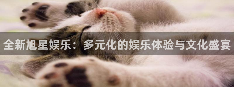 风暴娱乐