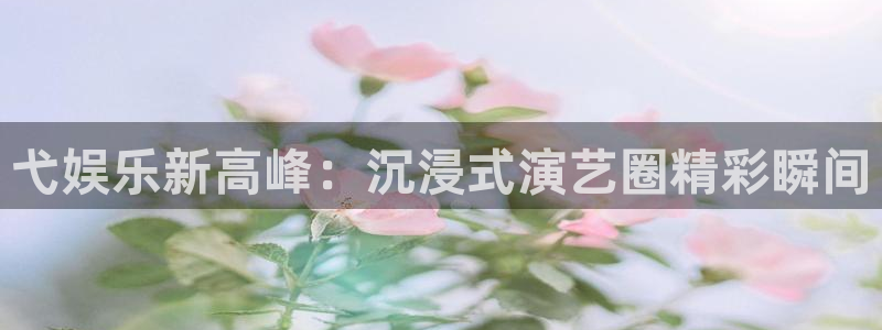 风暴娱乐登录地址
