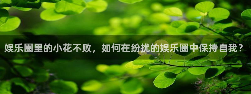 风暴娱乐