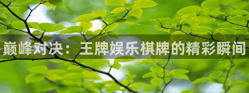 风暴娱乐登录