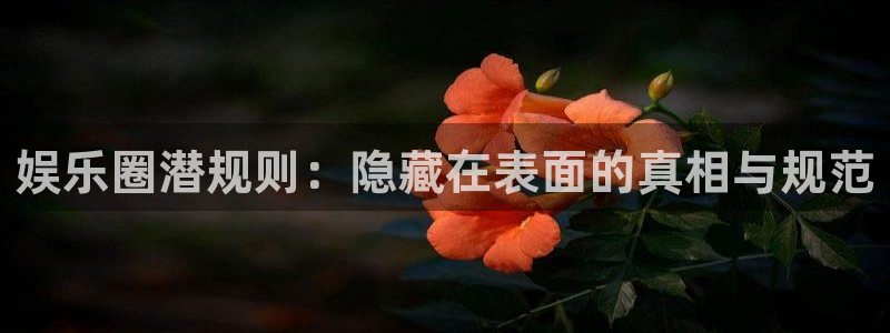 风暴娱乐官网