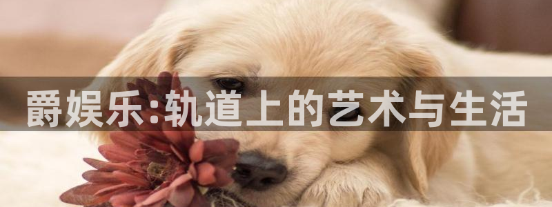 风暴娱乐登录