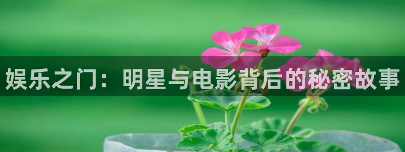 风暴娱乐